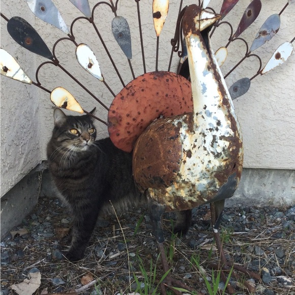 Meet your Posher, Christine - Picture 3 of 14